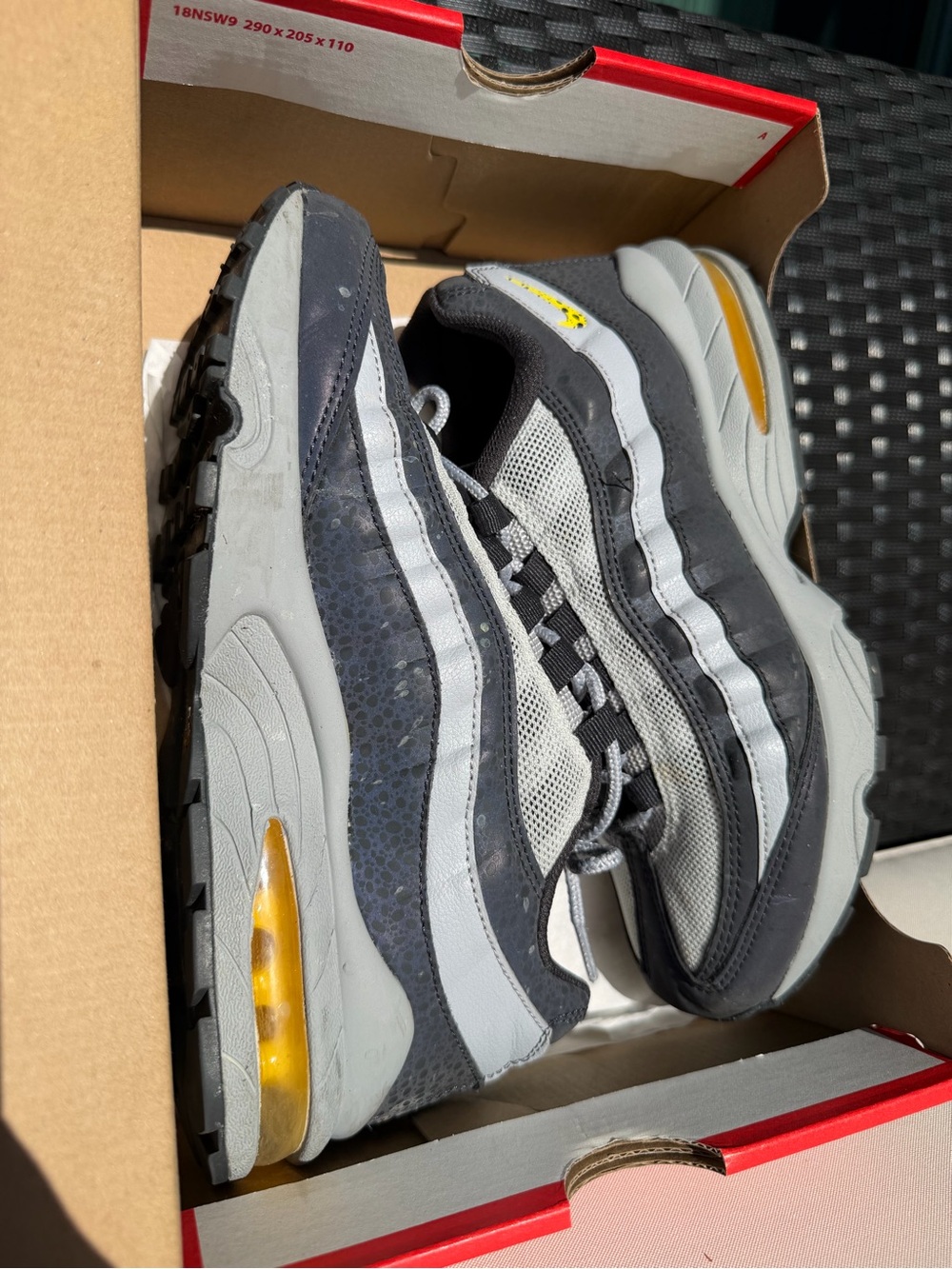 Nike Air Max Sneakers